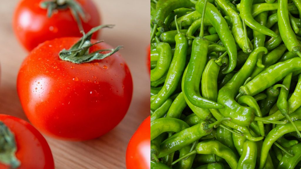 Tomatoes And Green Chilies