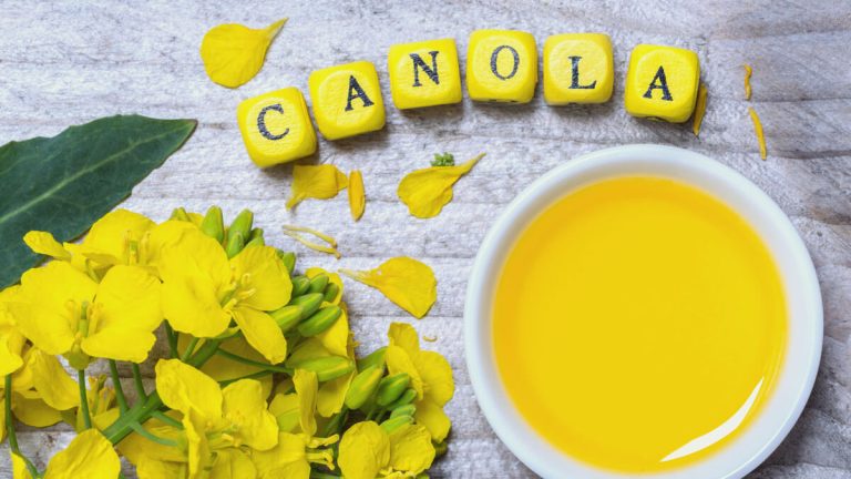 Is Canola Oil a Genetically Modified (GMO) Product?