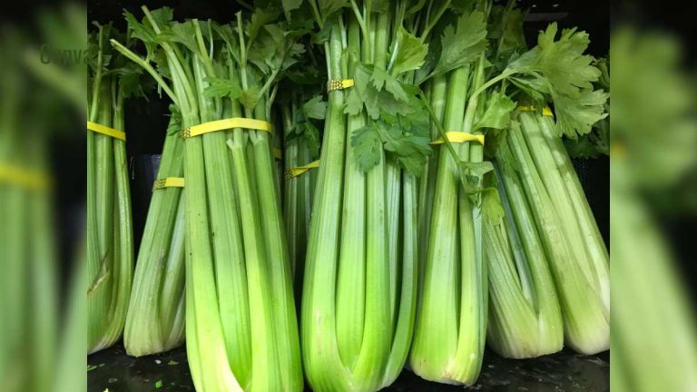 How To Include Celery In Everyday North Indian Cooking